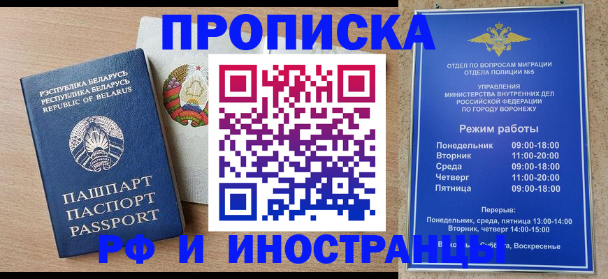 пропишу в квартире в Павловском Посаде